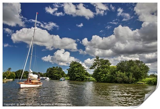 Summer day on the River Bure, Norfolk UK Print by Sally Lloyd