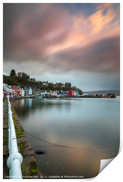 Tobermory at sunrise Print by Andrew Ray