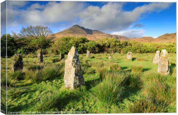 Loch Buie Stone Circle Canvas Print by Andrew Ray