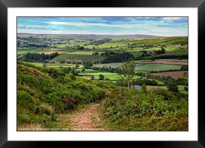 "Path to Freedom" Framed Mounted Print by ROS RIDLEY