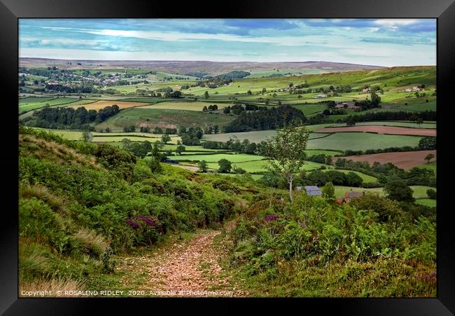 "Path to Freedom" Framed Print by ROS RIDLEY