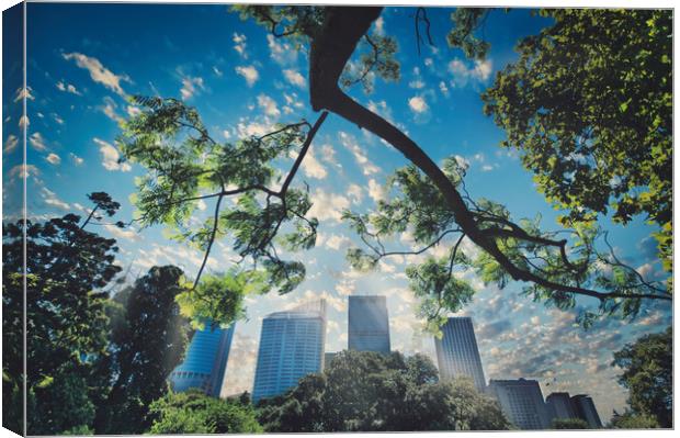 Sydney Royal Botanic Gardens view of the city Canvas Print by federico stevanin