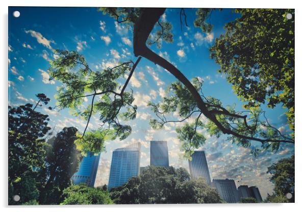 Sydney Royal Botanic Gardens view of the city Acrylic by federico stevanin