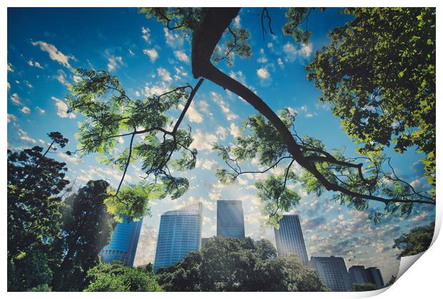 Sydney Royal Botanic Gardens view of the city Print by federico stevanin