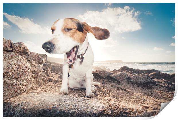 smiling beagle dog  Print by federico stevanin