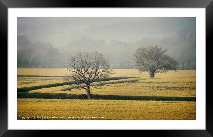 Golden Fields of England Framed Mounted Print by RJ Bowler