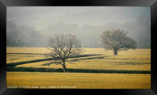 Golden Fields of England Framed Print by RJ Bowler