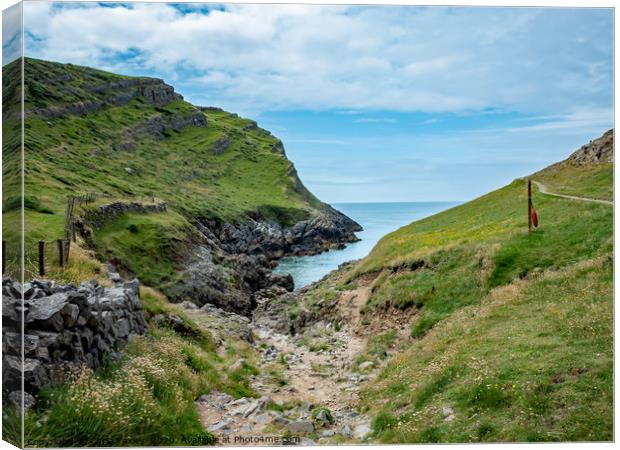 The path to Mewslade Bay in the Gower Peninsula Canvas Print by Chris Yaxley