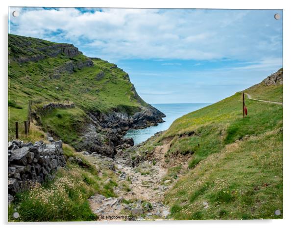 The path to Mewslade Bay in the Gower Peninsula Acrylic by Chris Yaxley