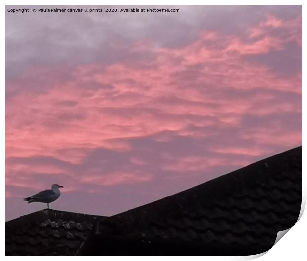 Pink Rooftop sunset Print by Paula Palmer canvas