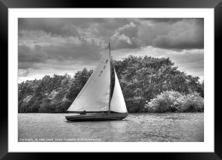 Sailing on the Bure, Norfolk UK Framed Mounted Print by Sally Lloyd