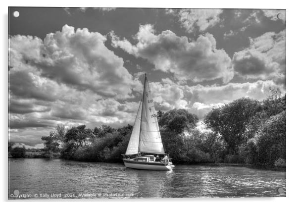 Summer Sail on The Bure, Norfolk UK Acrylic by Sally Lloyd