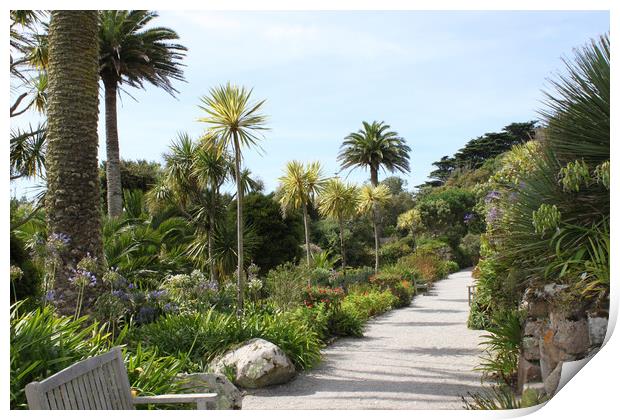 Beautiful Tresco gardens, Isles of Scilly Print by Simon Marlow