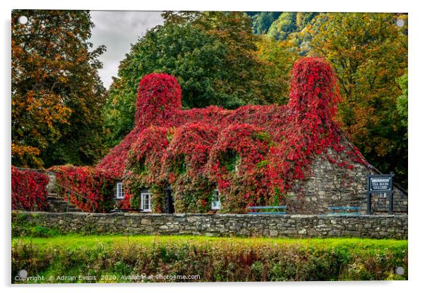 Autumn Tea House Llanrwst Wales Acrylic by Adrian Evans