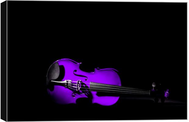 Violet Violin Canvas Print by Maggie McCall