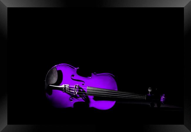 Violet Violin Framed Print by Maggie McCall