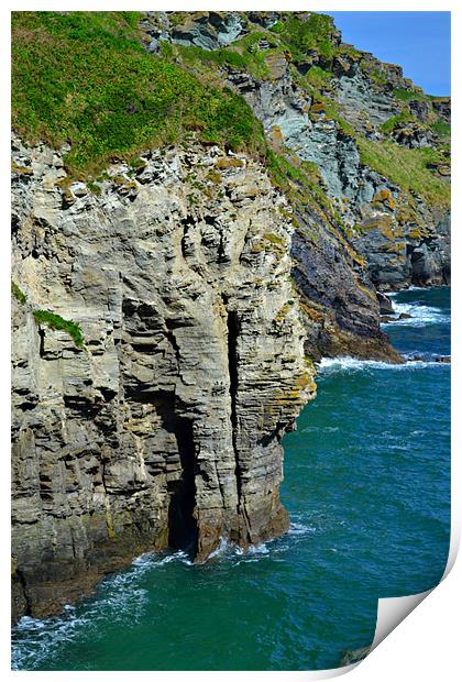 Elephant Rock Print by Jules Camfield