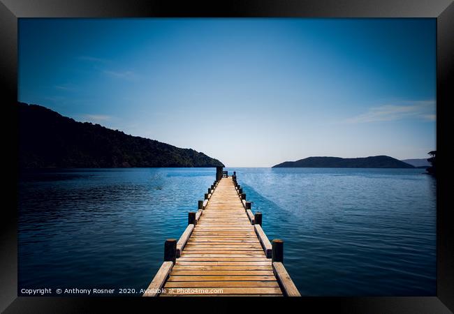 Pier at Ship Cove, South Island New Zealand  Framed Print by Anthony Rosner