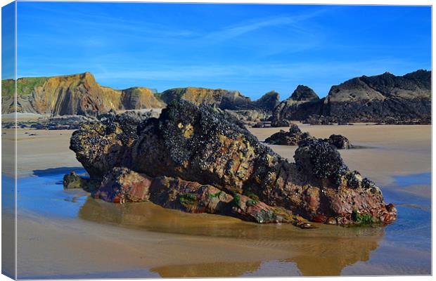 Middle Rock Canvas Print by Jules Camfield