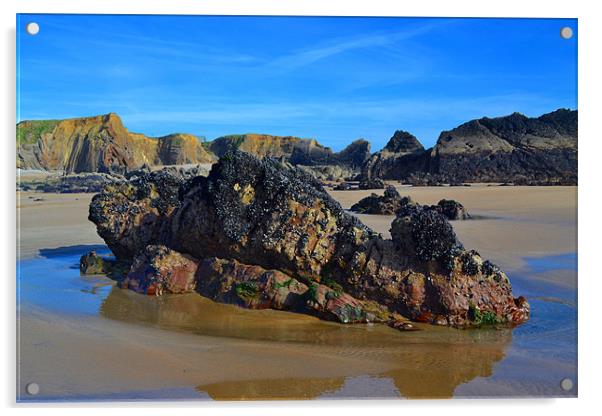 Middle Rock Acrylic by Jules Camfield