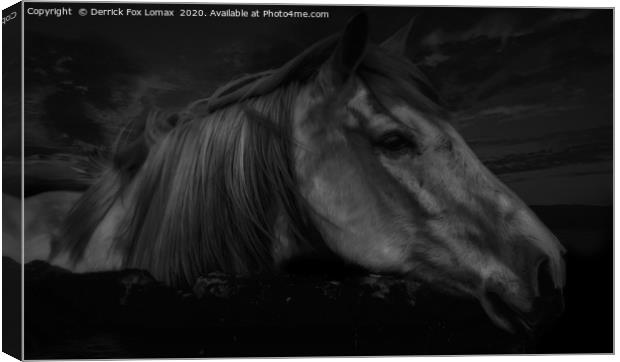 Horse At Midnight Canvas Print by Derrick Fox Lomax