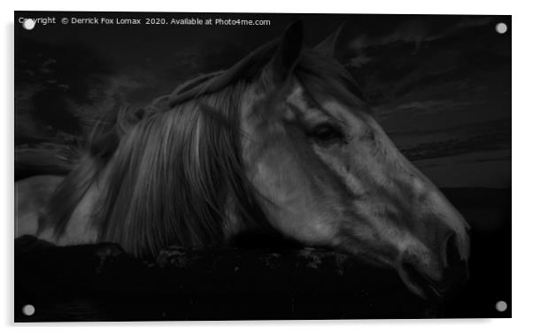 Horse At Midnight Acrylic by Derrick Fox Lomax