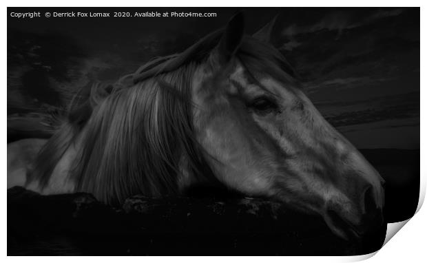 Horse At Midnight Print by Derrick Fox Lomax