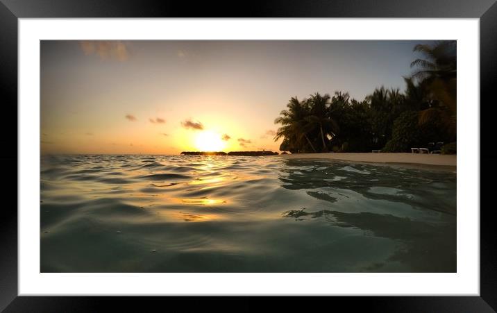 Golden Hour Swim Framed Mounted Print by Westley Grant