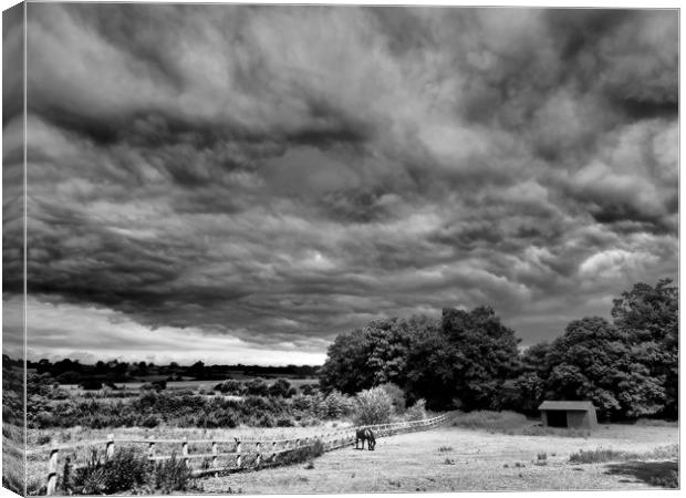 Stormy skies black and white Canvas Print by mark humpage
