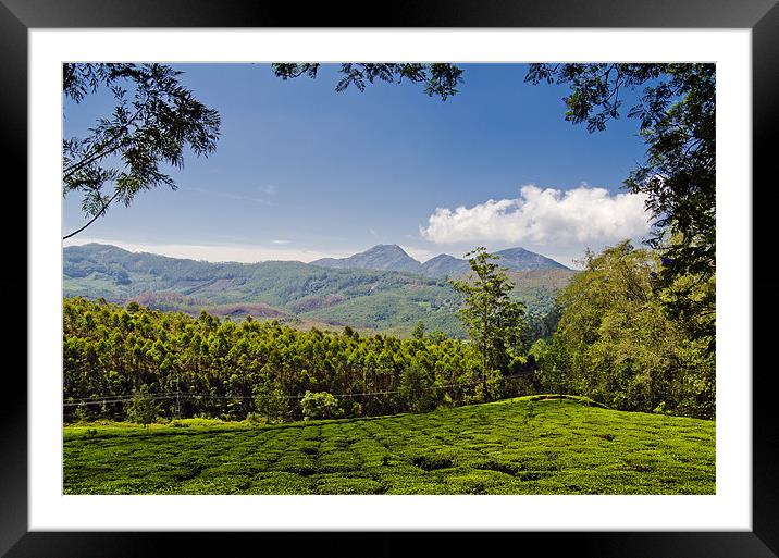 green scenery Framed Mounted Print by Hassan Najmy