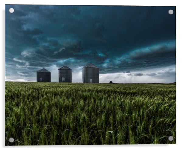 Montana Prairies Storm Acrylic by John Finney