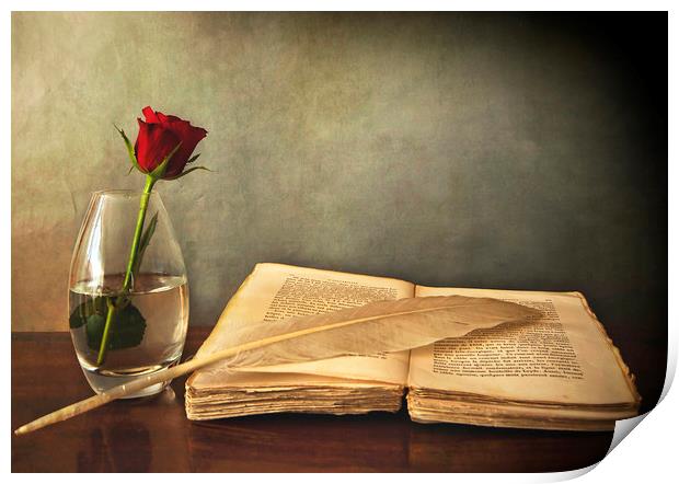 Desk in chiaroscuro with book single red rose and  Print by Luisa Vallon Fumi