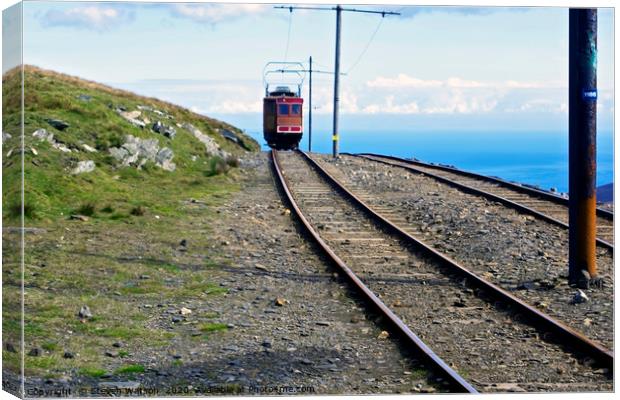 The Snaefell Mountain Railway Canvas Print by Steven Watson