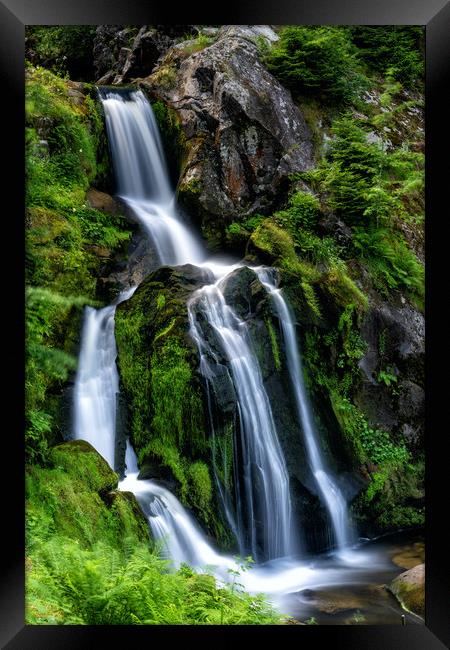 Triberg Waterfalls 2 Framed Print by DiFigiano Photography