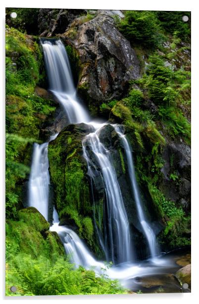 Triberg Waterfalls 2 Acrylic by DiFigiano Photography