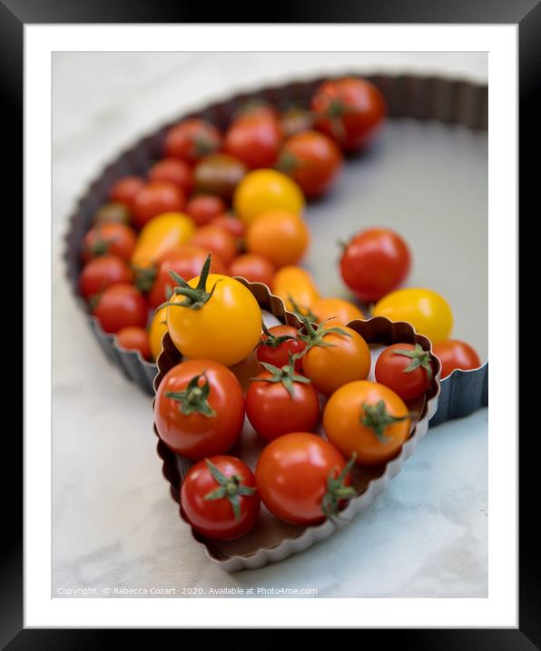 Cherry Tomatoes 2 Framed Mounted Print by Rebecca Cozart