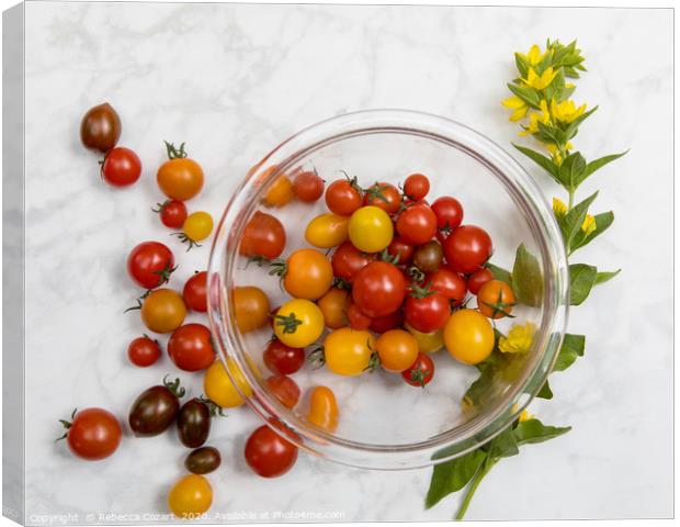 Cherry Tomatoes 3 Canvas Print by Rebecca Cozart