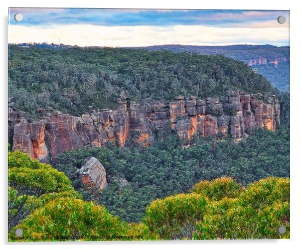 Mt Piddington - NSW - Australia Acrylic by Steven Ralser