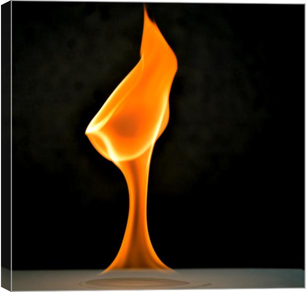Flame Canvas Print by Paul Want