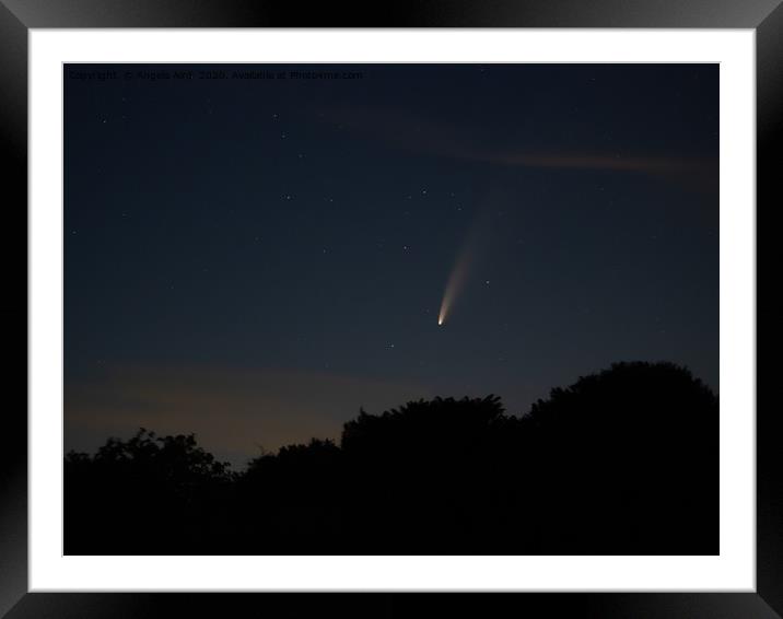 Comet Neowise. Framed Mounted Print by Angela Aird