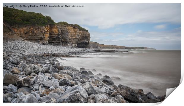 South Wales coastline. Rocky shore and Cliff Print by Gary Parker