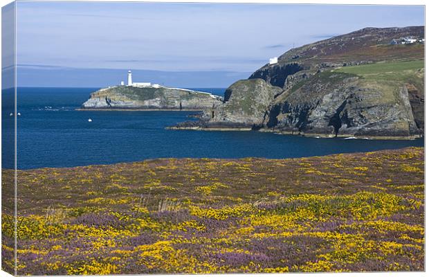 View to South Stack Canvas Print by Gail Johnson