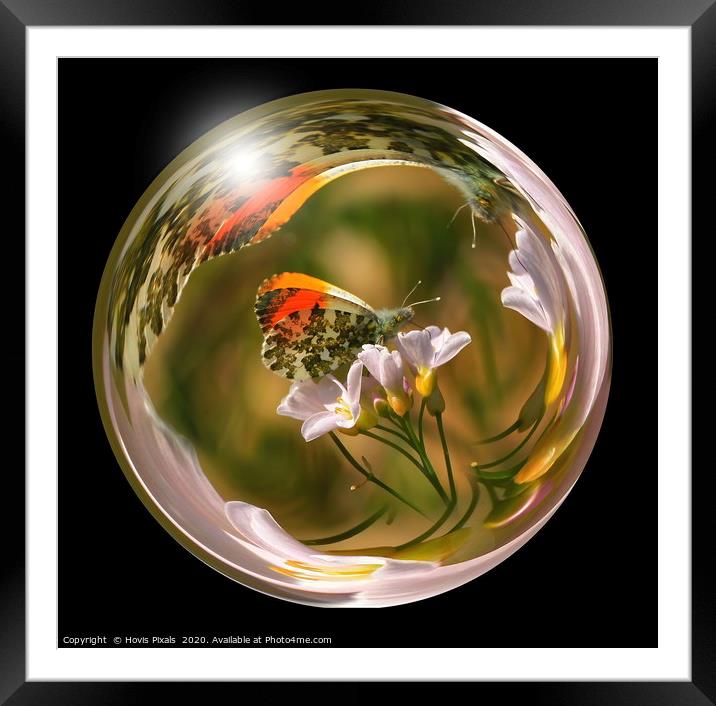 Through the Looking Glass Framed Mounted Print by Dave Burden