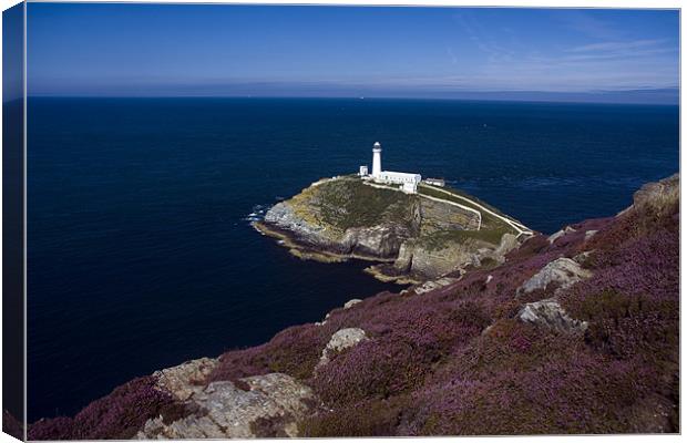 View to South Stack Canvas Print by Gail Johnson