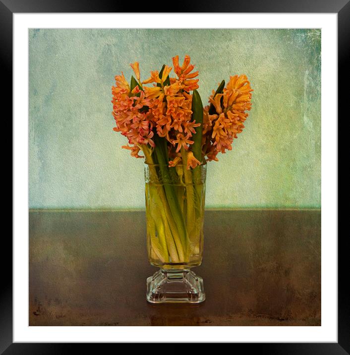 Digital fine art, hyacinth bouquet in glass Framed Mounted Print by Luisa Vallon Fumi