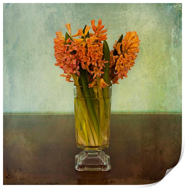 Digital fine art, hyacinth bouquet in glass Print by Luisa Vallon Fumi