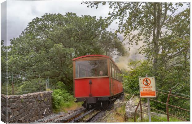 Mount Snowdon steam train Canvas Print by Chris Yaxley