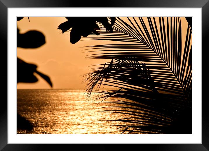 Costa Rica at Sunset Framed Mounted Print by Simon Hackett