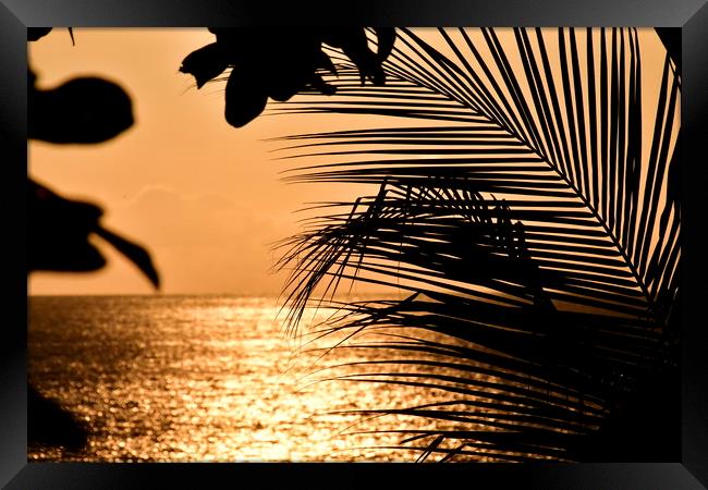 Costa Rica at Sunset Framed Print by Simon Hackett