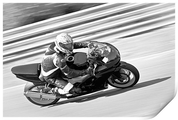 Racing Speed Print by Jeni Harney